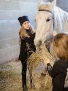 Mikina dievčenská HORSE