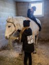 Mikina dievčenská HORSE